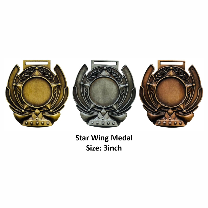 07-17Star Wing Medal.jpg